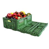 new arrival ZJKN604022W-H fruit use plastic collapsible storage crate and container